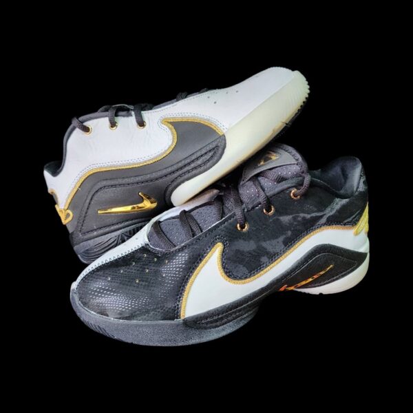 Lebron 22 "Mogul"